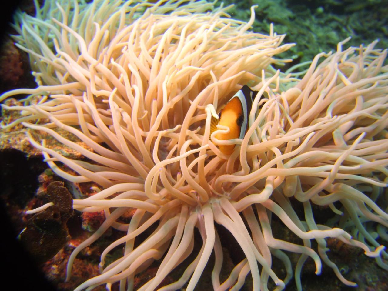 فندق Alam Mimpi Bali تيجاكولا المظهر الخارجي الصورة